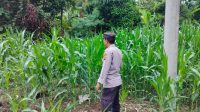 IMG-20251130-WA0017