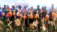 IMG-20260104-WA0000