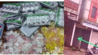 Desain tanpa judul (8)